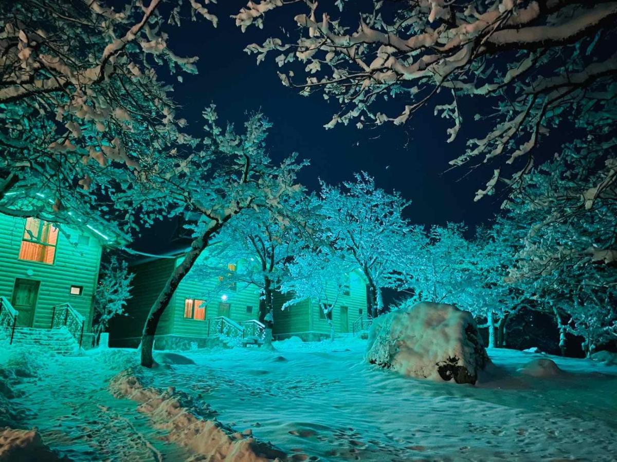 Harsnadzor Eco Resort Halidzor Exterior photo